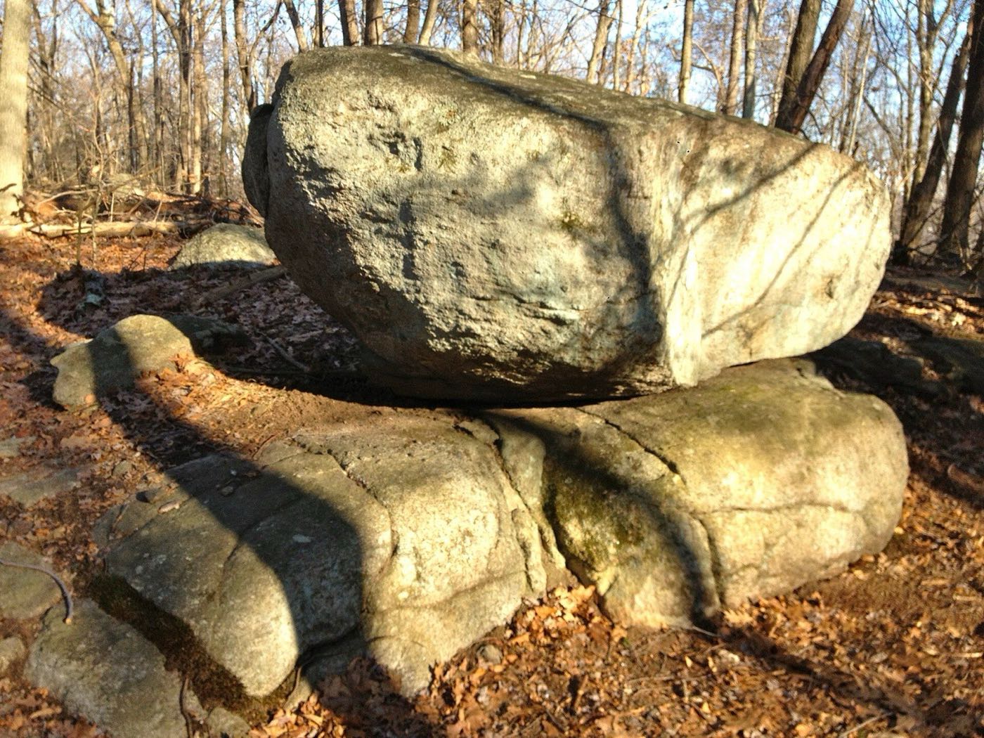 Glacial erratic boulder in Osbornedale State Park in Derby