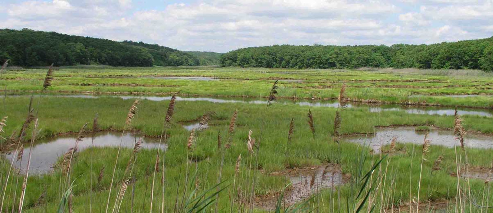 Bride Brook salt marsh in East Lyme, Connecticut