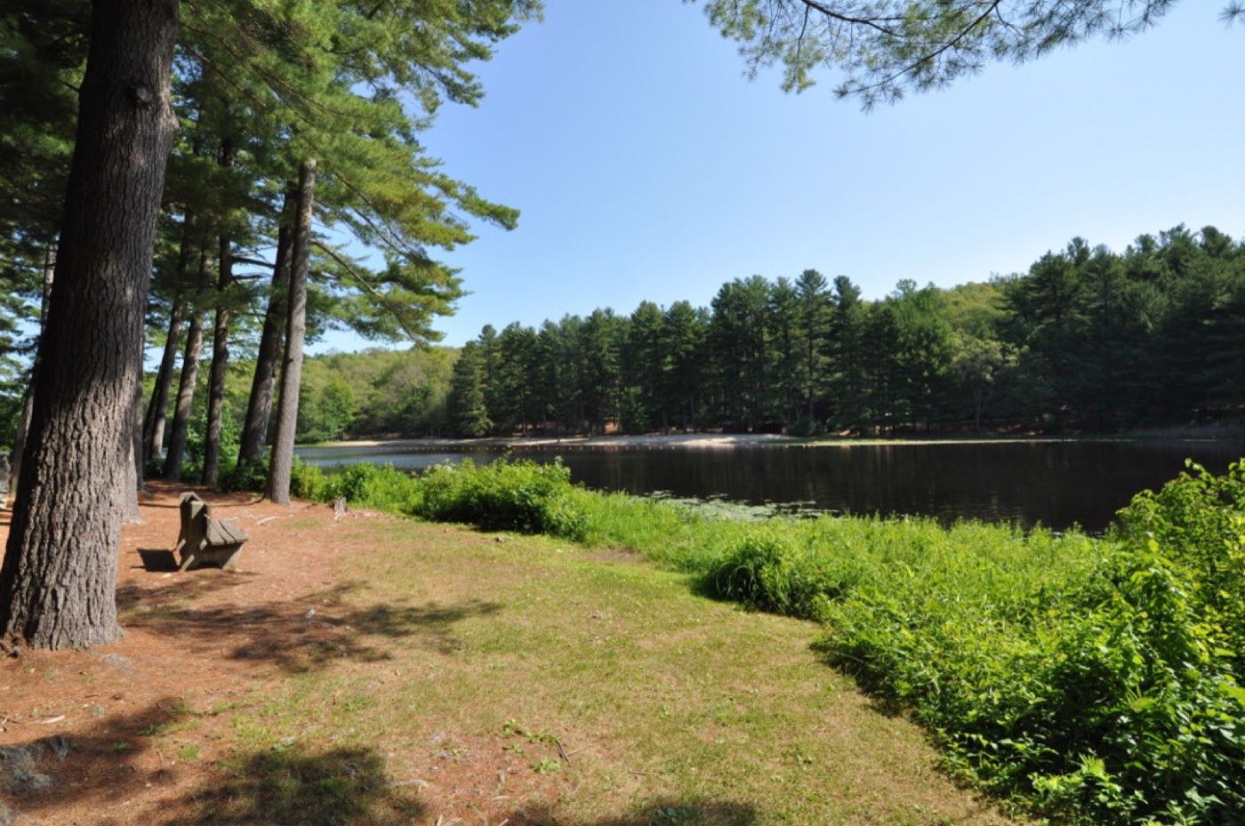 Schreeder Pond in Chatfield Hollow State Park, Killingworth, Connecticut