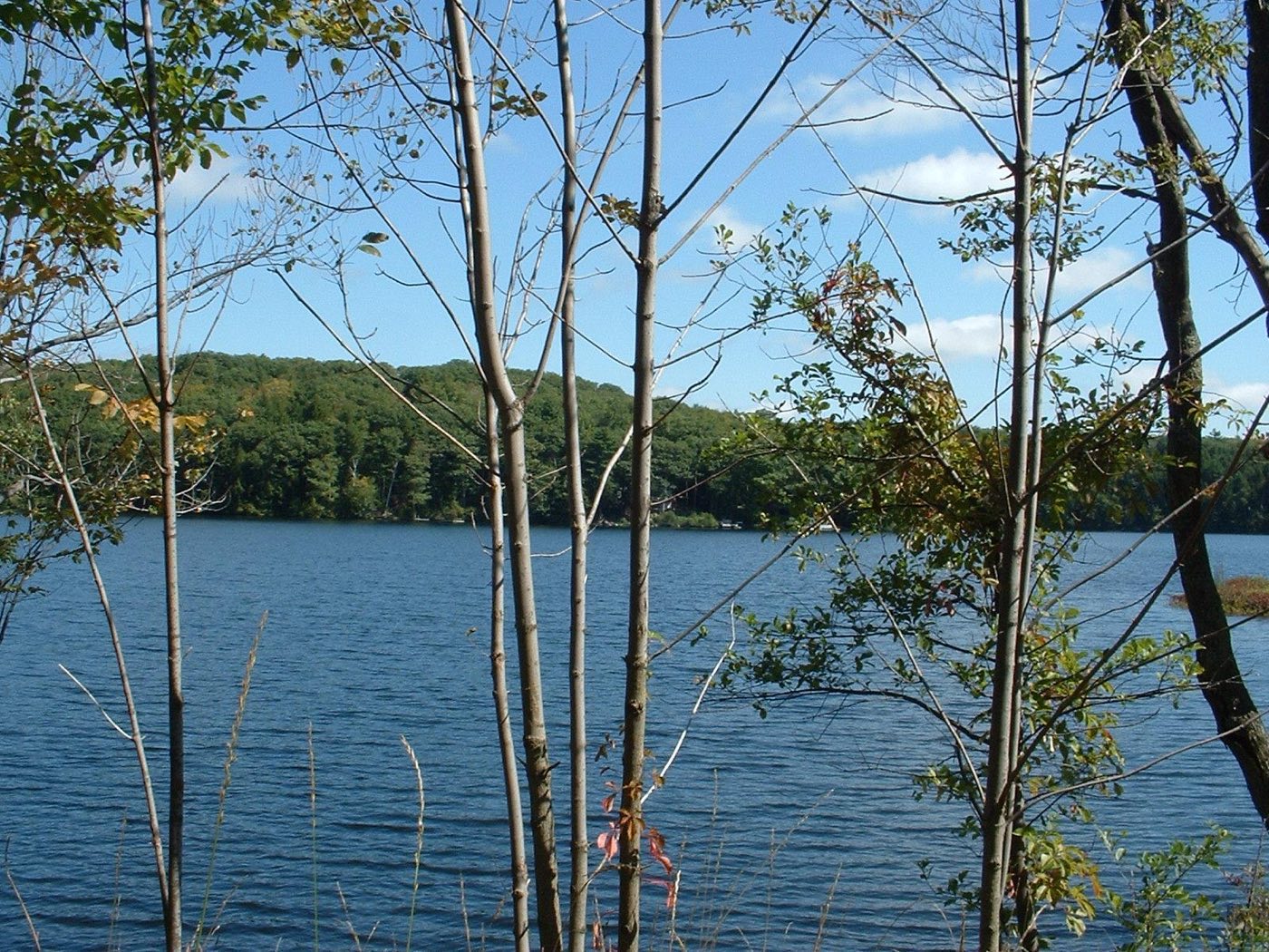 Benton Pond in Otis, Massachusetts.