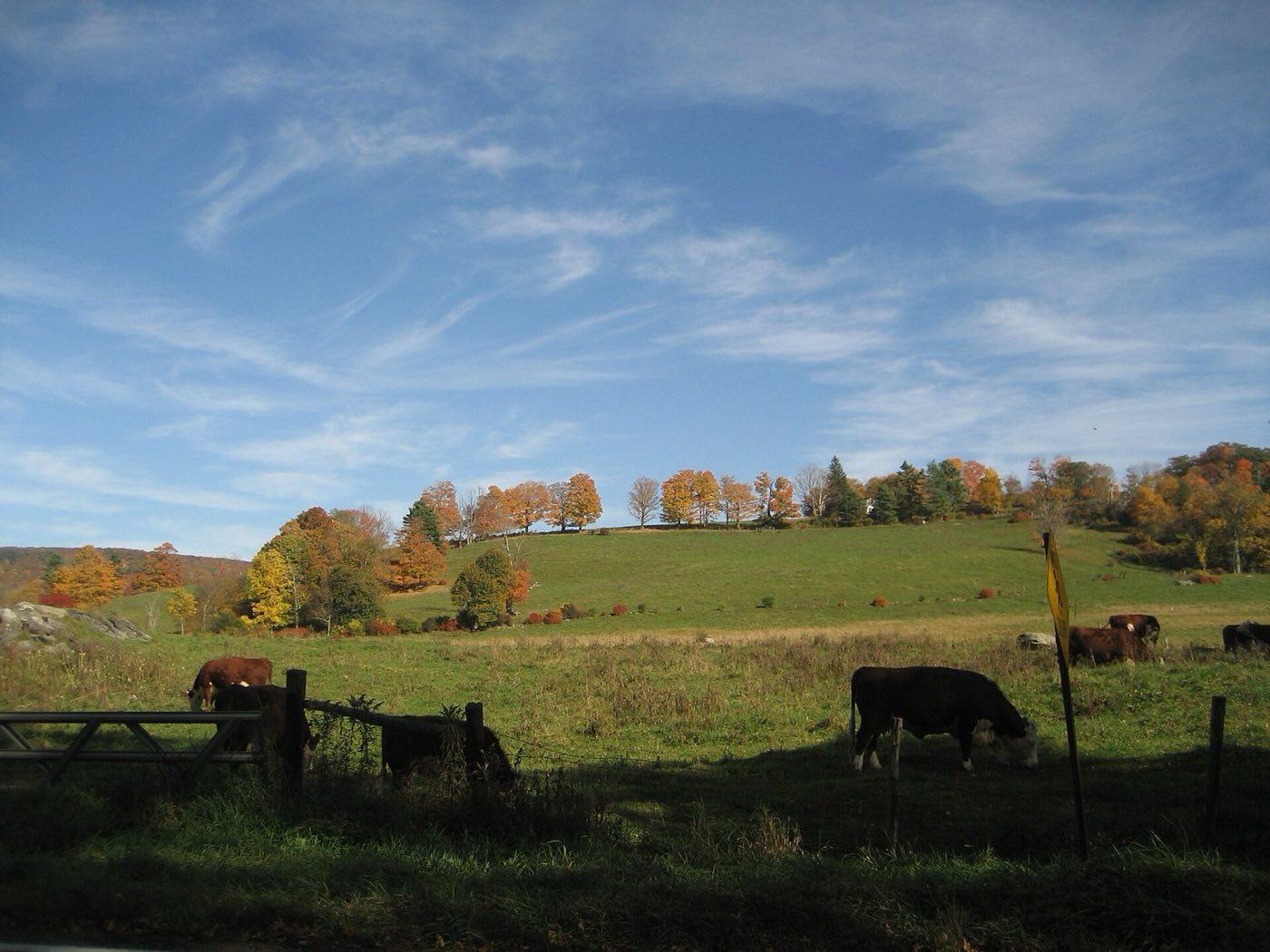 Fall foliage in Richmond, Massachusetts.