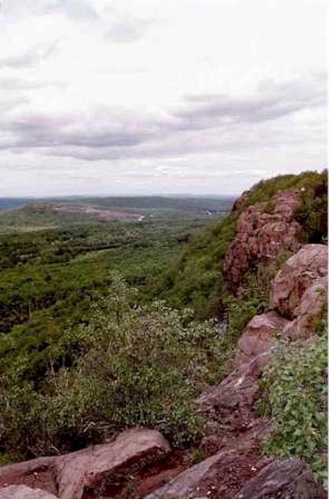 Higby Mountain, part of the Metacomet Ridge in Middlefield.