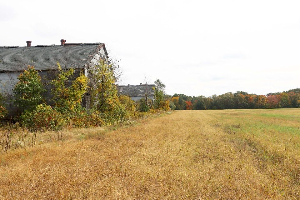 Weathered tobacco barns at the edge of a field in Simsbury in autumn