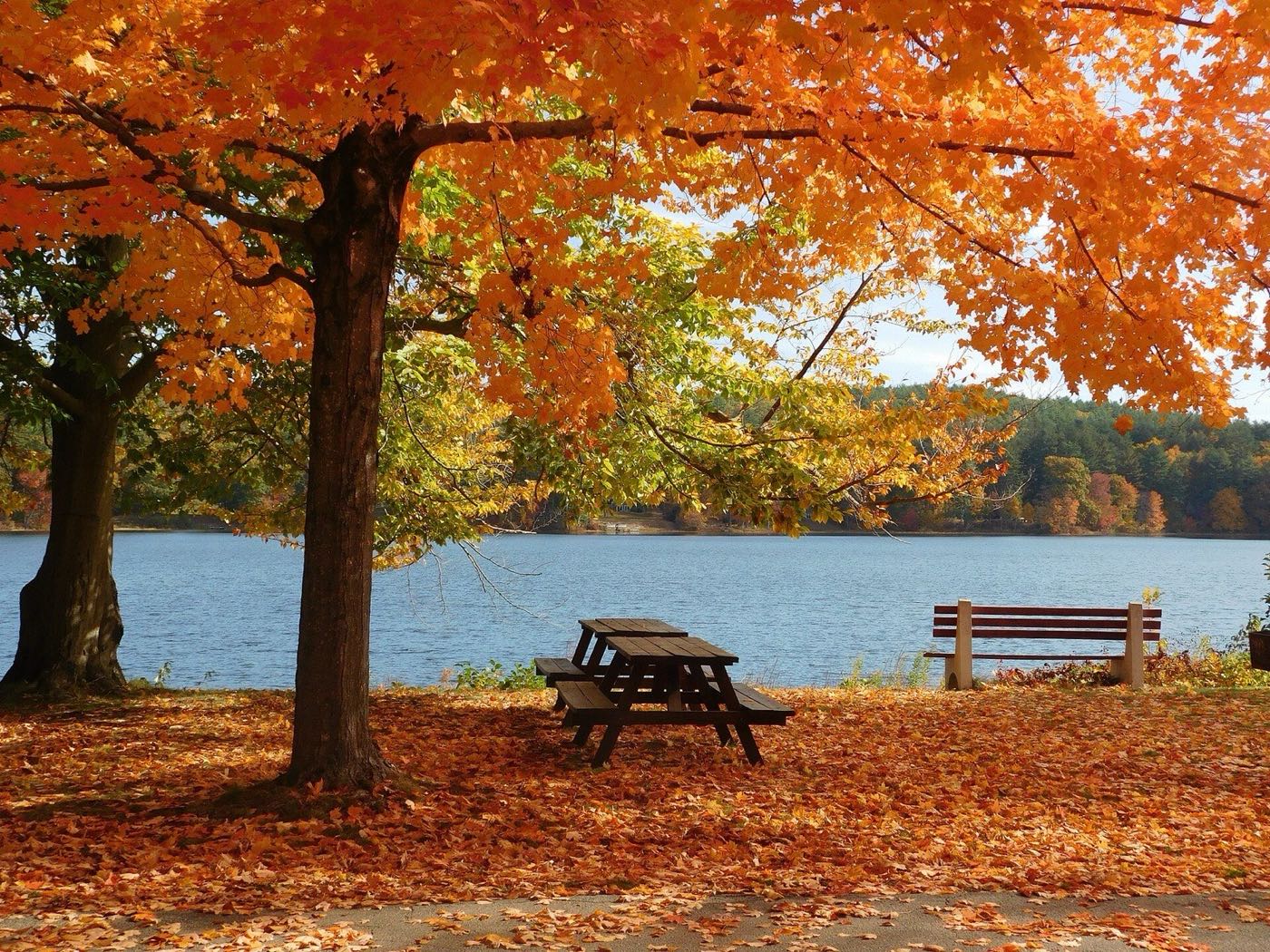 Fall foliage along the shoreline of Roseland Park's lake in Woodstock, Connecticut